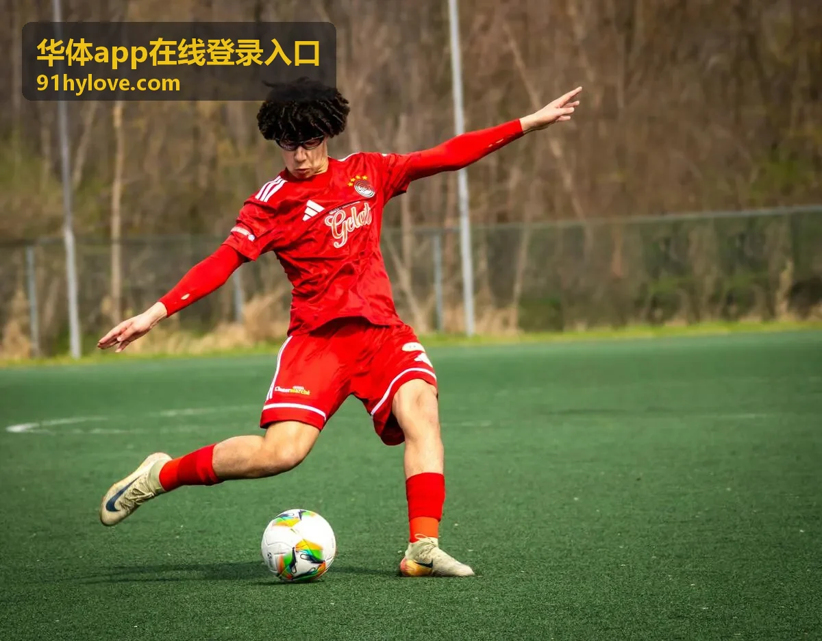 华体app在线登录入口账号安全验证流程示意